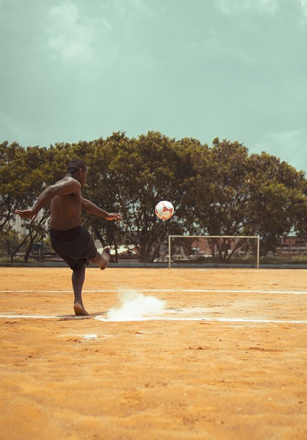 北京国安足协杯夺冠，法比奥荣膺金靴，球员拼尽全力，彰显拼搏精神。