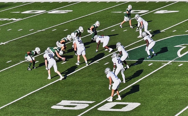 意甲前瞻：克雷莫纳老将瓦尔迪仍有余热，莱切客场战力尚可