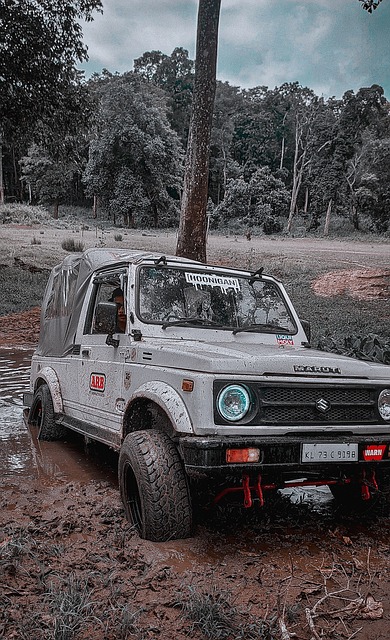 女排世锦赛落幕！意大利夺冠，日本惜败，土耳其遗憾，巴西狂喜
