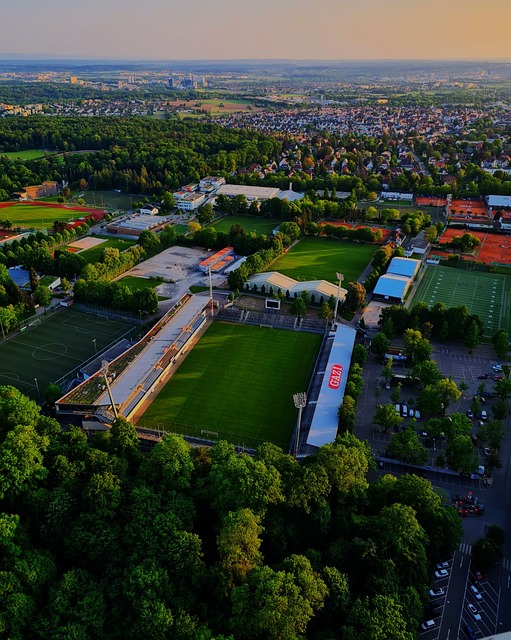 里程碑！科利尔成为爵士队史上拿到500助攻最快的球员